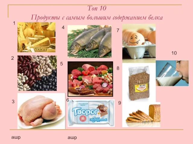 ашр ашр Топ 10 Продукты с самым большим содержанием белка 1 2