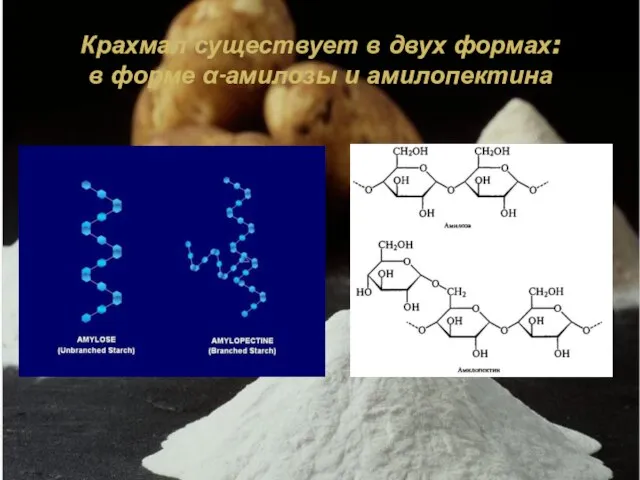 Крахмал существует в двух формах: в форме α-амилозы и амилопектина