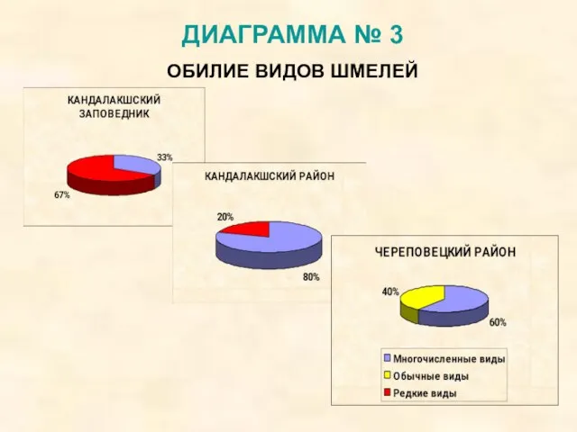 ДИАГРАММА № 3 ОБИЛИЕ ВИДОВ ШМЕЛЕЙ