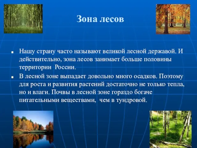 Зона лесов Нашу страну часто называют великой лесной державой. И действительно, зона