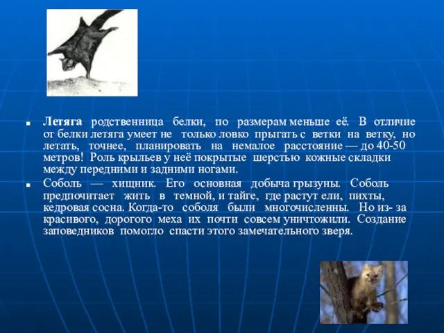 Летяга родственница белки, по размерам меньше её. В отличие от белки летяга