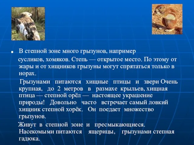 В степной зоне много грызунов, например сусликов, хомяков. Степь — открытое место.