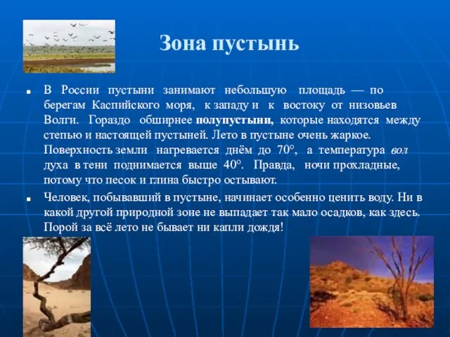 Зона пустынь В России пустыни занимают небольшую площадь — по берегам Каспийского