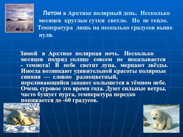 Летом в Арктике полярный день. Несколько месяцев круглые сутки светло. Но не