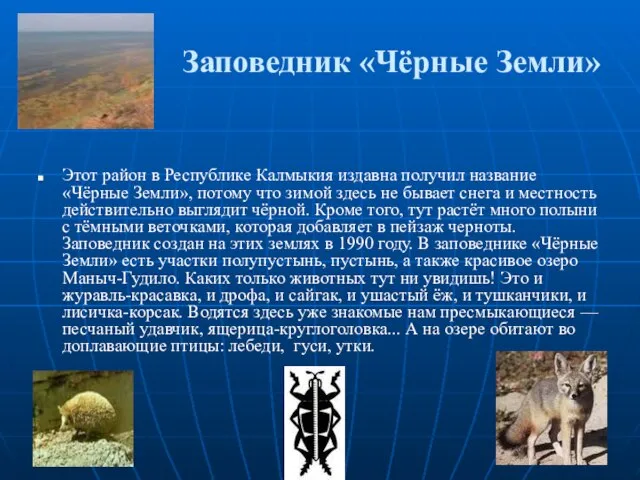 Заповедник «Чёрные Земли» Этот район в Республике Калмыкия издавна по­лучил название «Чёрные