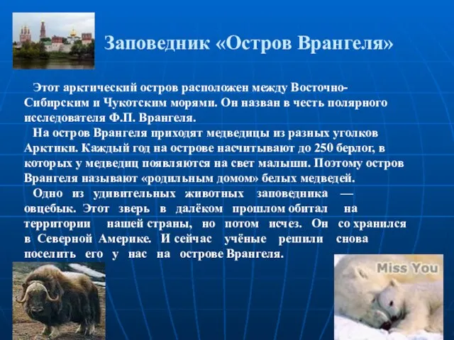 Заповедник «Остров Врангеля» Этот арктический остров расположен между Восточно-Сибирским и Чукотским морями.