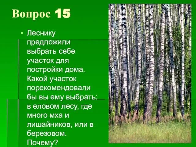 Вопрос 15 Леснику предложили выбрать себе участок для постройки дома. Какой участок