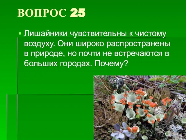 ВОПРОС 25 Лишайники чувствительны к чистому воздуху. Они широко распространены в природе,