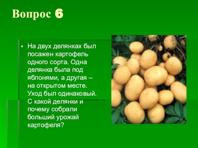 Вопрос 6 На двух делянках был посажен картофель одного сорта. Одна делянка