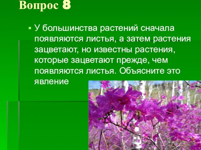 Вопрос 8 У большинства растений сначала появляются листья, а затем растения зацветают,