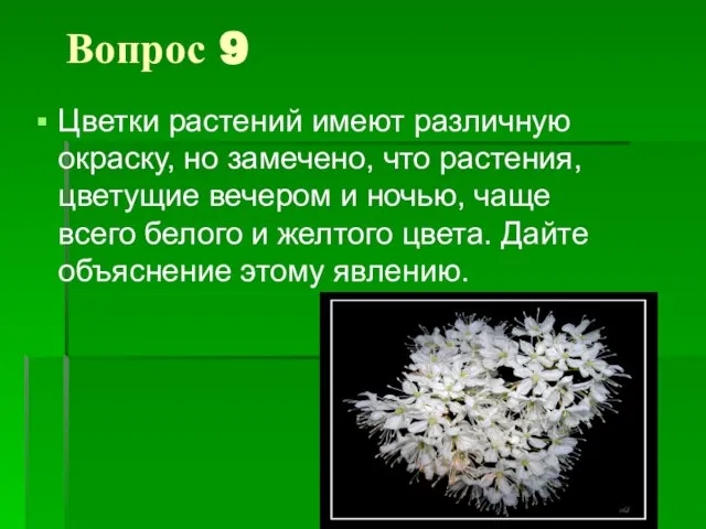 Вопрос 9 Цветки растений имеют различную окраску, но замечено, что растения, цветущие