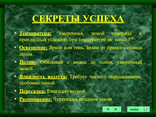 СЕКРЕТЫ УСПЕХА Температура: Умеренная, зимой содержат в прохладный условиях при температуре не