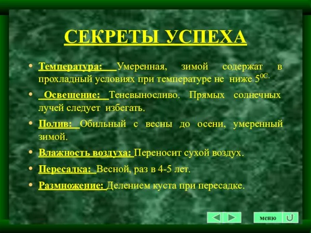 СЕКРЕТЫ УСПЕХА Температура: Умеренная, зимой содержат в прохладный условиях при температуре не