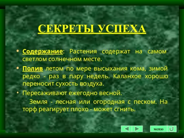 СЕКРЕТЫ УСПЕХА Содержание: Растения содержат на самом светлом солнечном месте. Полив летом