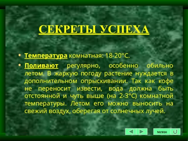 СЕКРЕТЫ УСПЕХА Температура комнатная: 18-20°С. Поливают регулярно, особенно обильно летом. В жаркую