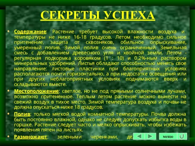 СЕКРЕТЫ УСПЕХА Содержание: Растение требует высокой влажности воздуха и температуры не ниже