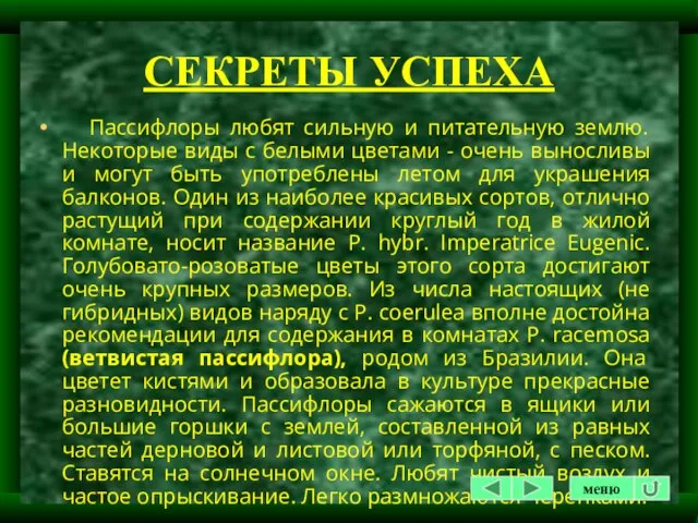 СЕКРЕТЫ УСПЕХА Пассифлоры любят сильную и питательную землю. Некоторые виды с белыми