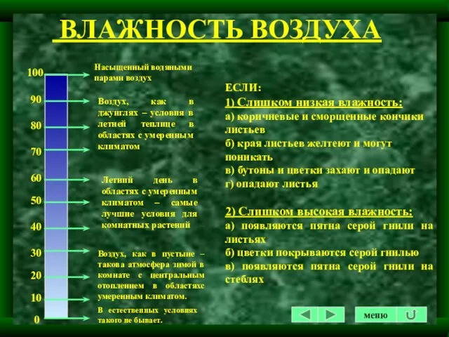 ЕСЛИ: 1) Слишком низкая влажность: а) коричневые и сморщенные кончики листьев б)