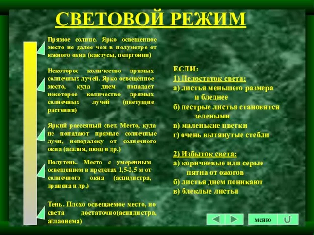 СВЕТОВОЙ РЕЖИМ ЕСЛИ: 1) Недостаток света: а) листья меньшего размера и бледнее