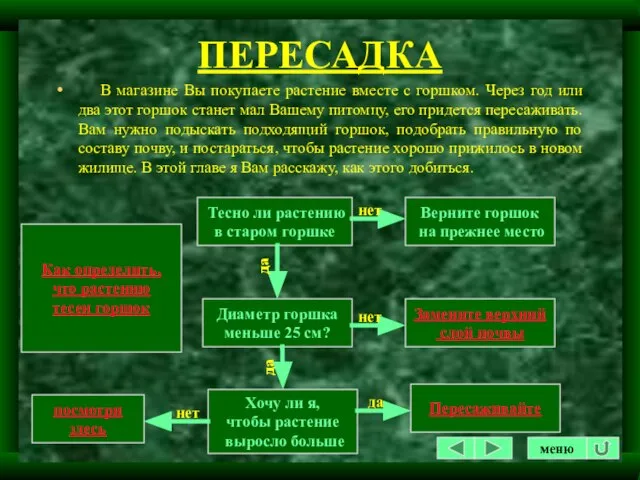 ПЕРЕСАДКА В магазине Вы покупаете растение вместе с горшком. Через год или