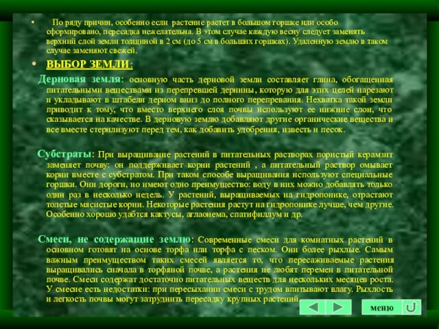 По ряду причин, особенно если растение растет в большом горшке или особо