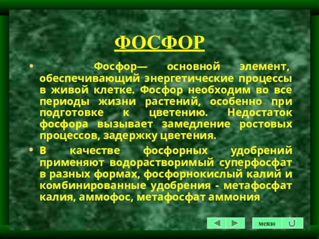 ФОСФОР Фосфор— основной элемент, обеспечивающий энергетические процессы в живой клетке. Фосфор необходим