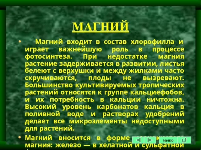 МАГНИЙ Магний входит в состав хлорофилла и играет важнейшую роль в процессе