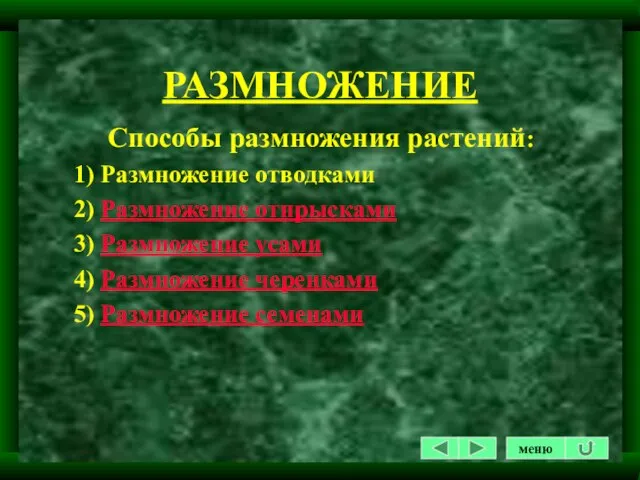 РАЗМНОЖЕНИЕ Способы размножения растений: 1) Размножение отводками 2) Размножение отпрысками 3) Размножение