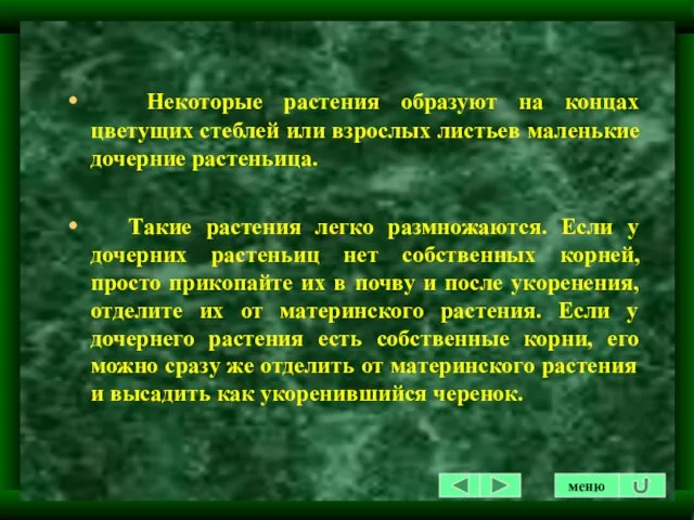 Некоторые растения образуют на концах цветущих стеблей или взрослых листьев маленькие дочерние