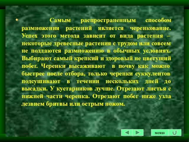 Самым распространенным способом размножения растений является черенкование.Успех этого метода зависит от вида