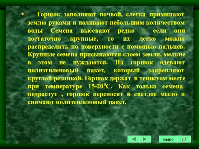 Горшок заполняют почвой, слегка приминают землю руками и поливают небольшим количеством воды