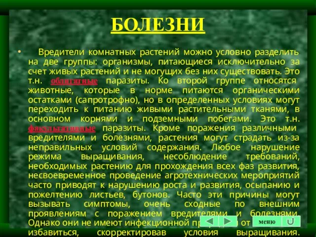 БОЛЕЗНИ Вредители комнатных растений можно условно разделить на две группы: организмы, питающиеся