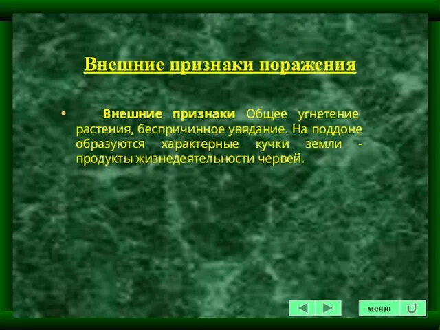 Внешние признаки поражения Внешние признаки Общее угнетение растения, беспричинное увядание. На поддоне