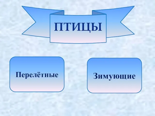 ПТИЦЫ Перелётные Зимующие