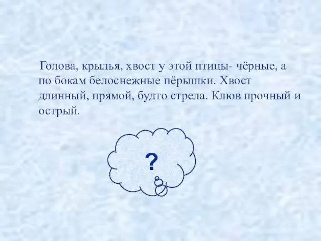 Голова, крылья, хвост у этой птицы- чёрные, а по бокам белоснежные пёрышки.