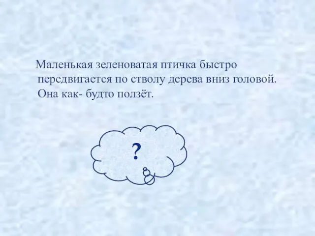 Маленькая зеленоватая птичка быстро передвигается по стволу дерева вниз головой. Она как- будто ползёт.