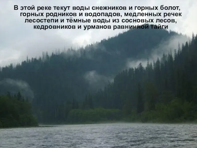 В этой реке текут воды снежников и горных болот, горных родников и