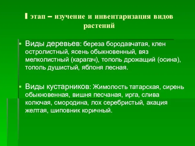 I этап – изучение и инвентаризация видов растений Виды деревьев: береза бородавчатая,