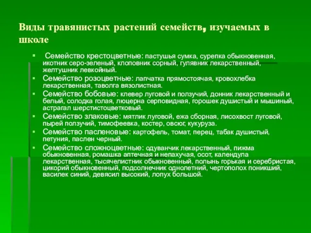 Виды травянистых растений семейств, изучаемых в школе Семейство крестоцветные: пастушья сумка, сурепка