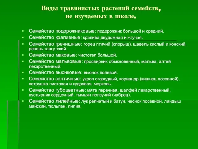 Виды травянистых растений семейств, не изучаемых в школе. Семейство подорожниковые: подорожник большой