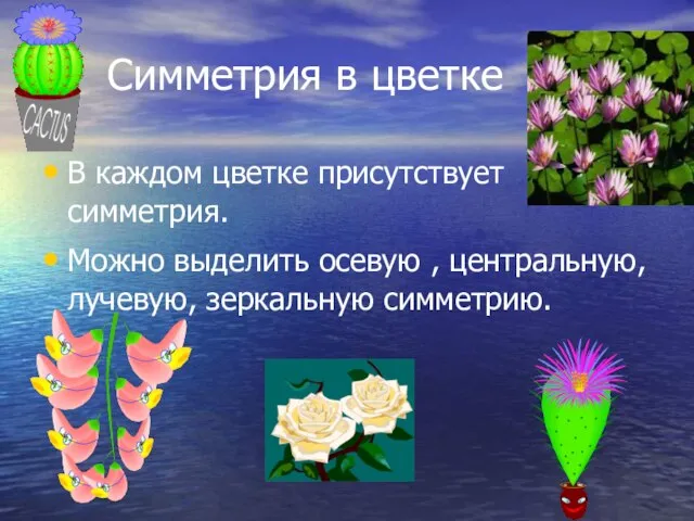 Симметрия в цветке В каждом цветке присутствует симметрия. Можно выделить осевую , центральную, лучевую, зеркальную симметрию.
