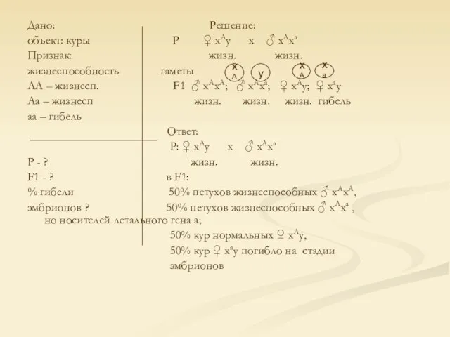 Дано: Решение: объект: куры Р ♀ хАу х ♂ хАха Признак: жизн.