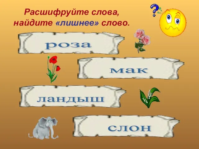 Расшифруйте слова, найдите «лишнее» слово. зоар мка дышнал нолс роза мак ландыш слон