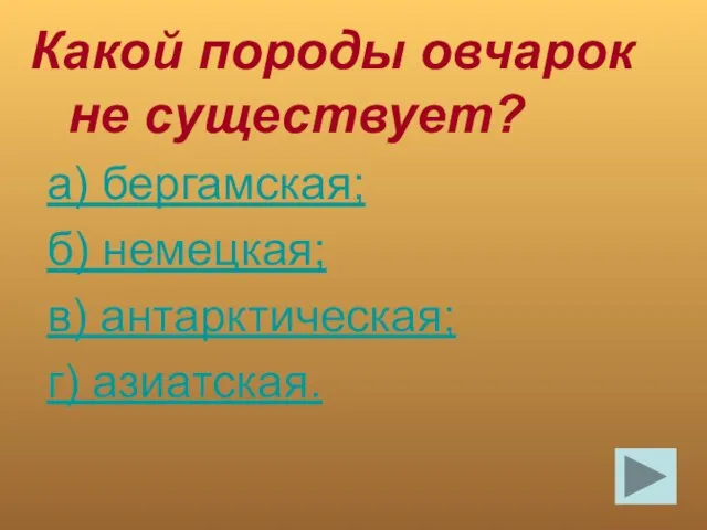 Какой породы овчарок не существует? а) бергамская; б) немецкая; в) антарктическая; г) азиатская.