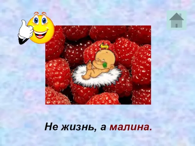 Не жизнь, а малина.