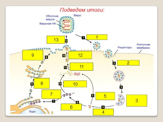 1 2 3 4 5 6 7 8 9 10 11 12 13 Подведем итоги: