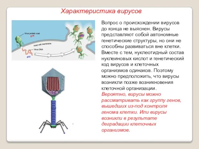 Вопрос о происхождении вирусов до конца не выяснен. Вирусы представляют собой автономные