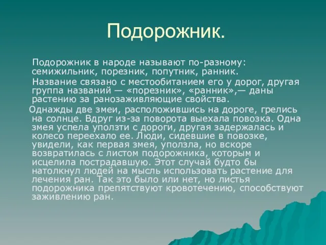 Подорожник. Подорожник в народе называют по-разному: семижильник, порезник, попутник, ранник. Название связано