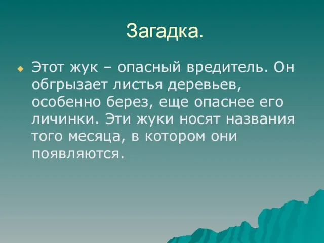 Загадка. Этот жук – опасный вредитель. Он обгрызает листья деревьев, особенно берез,