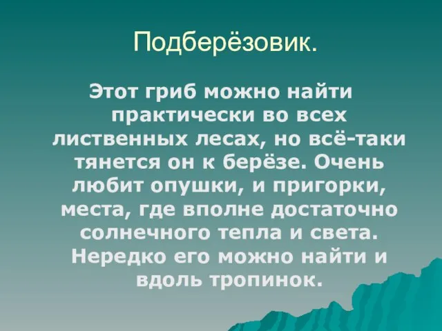 Подберёзовик. Этот гриб можно найти практически во всех лиственных лесах, но всё-таки